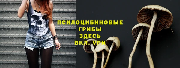 стафф Алзамай