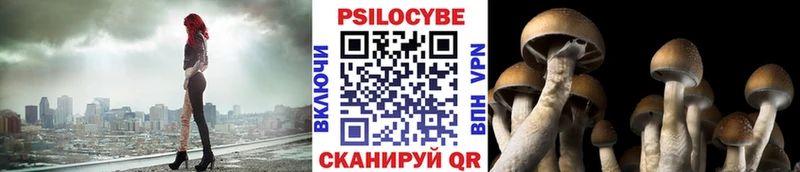 Галлюциногенные грибы Cubensis hydra ссылки Бирюч